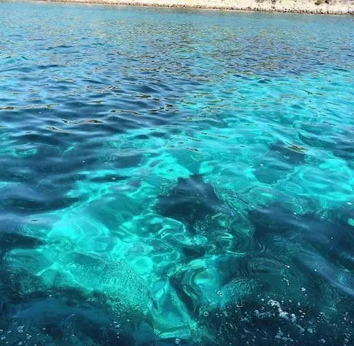 Tomi - Seaview * Vis